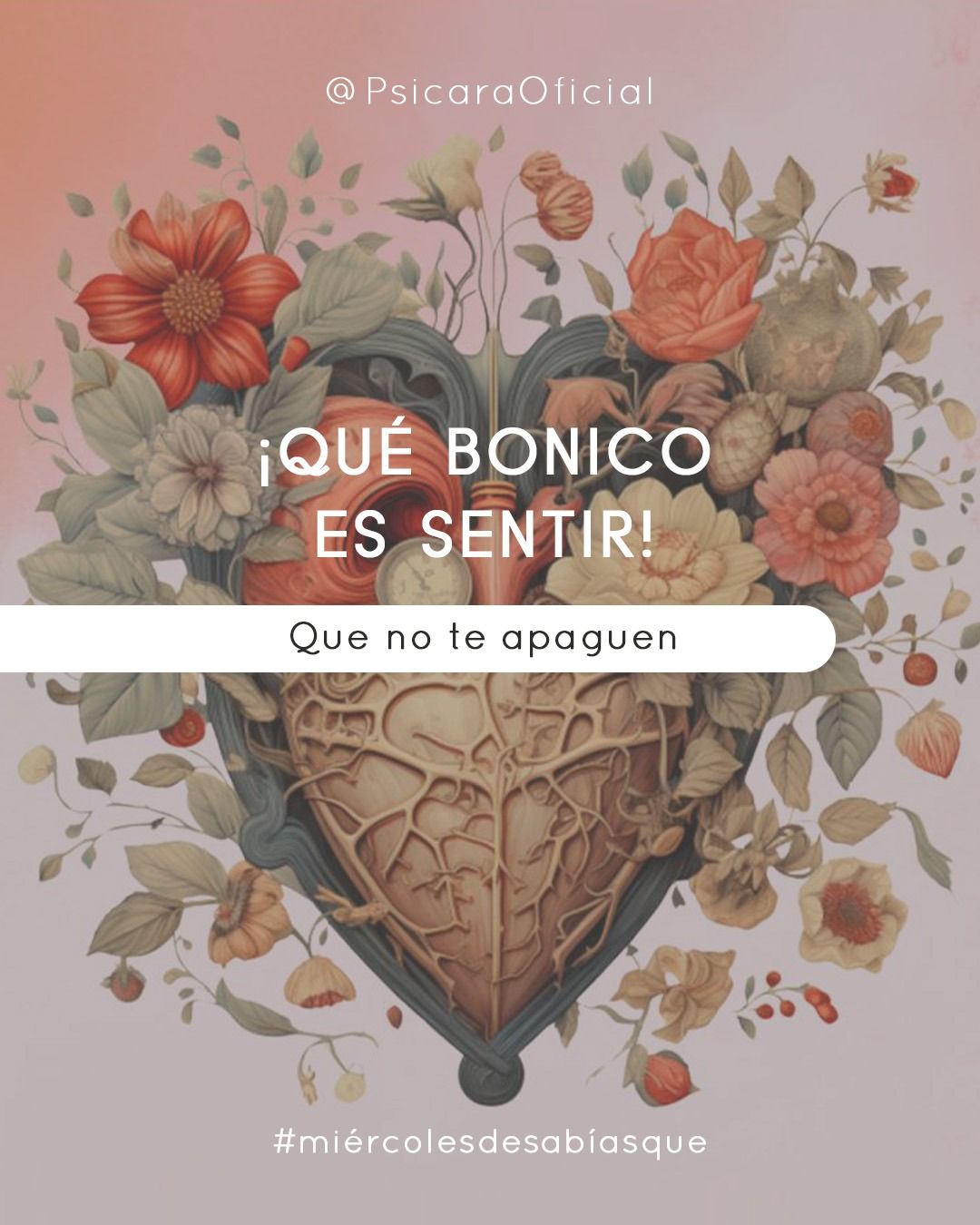 imagen de portada del blog 
