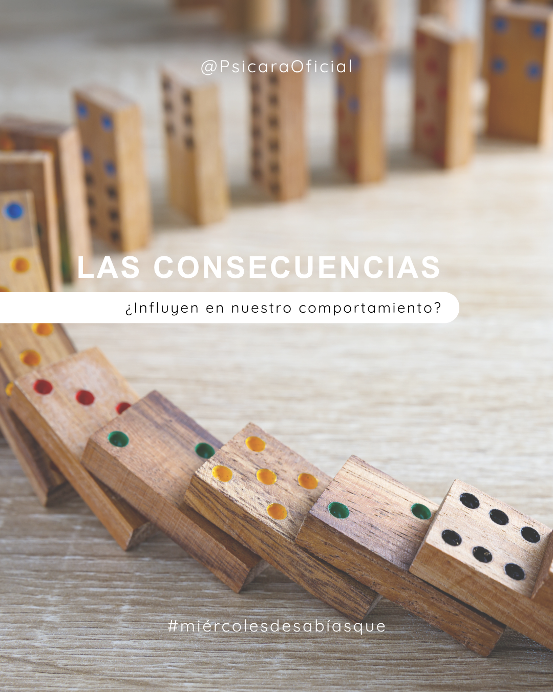 imagen de portada del blog 