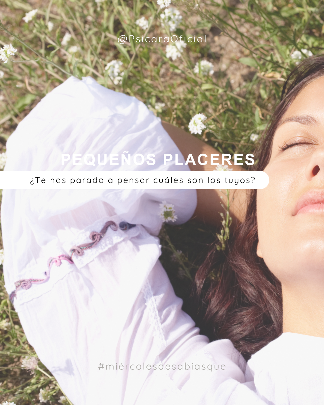imagen de portada del blog