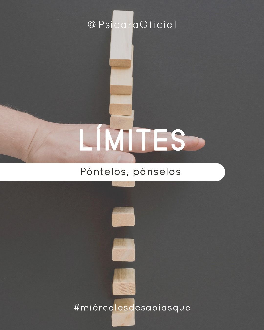 imagen de portada del blog 