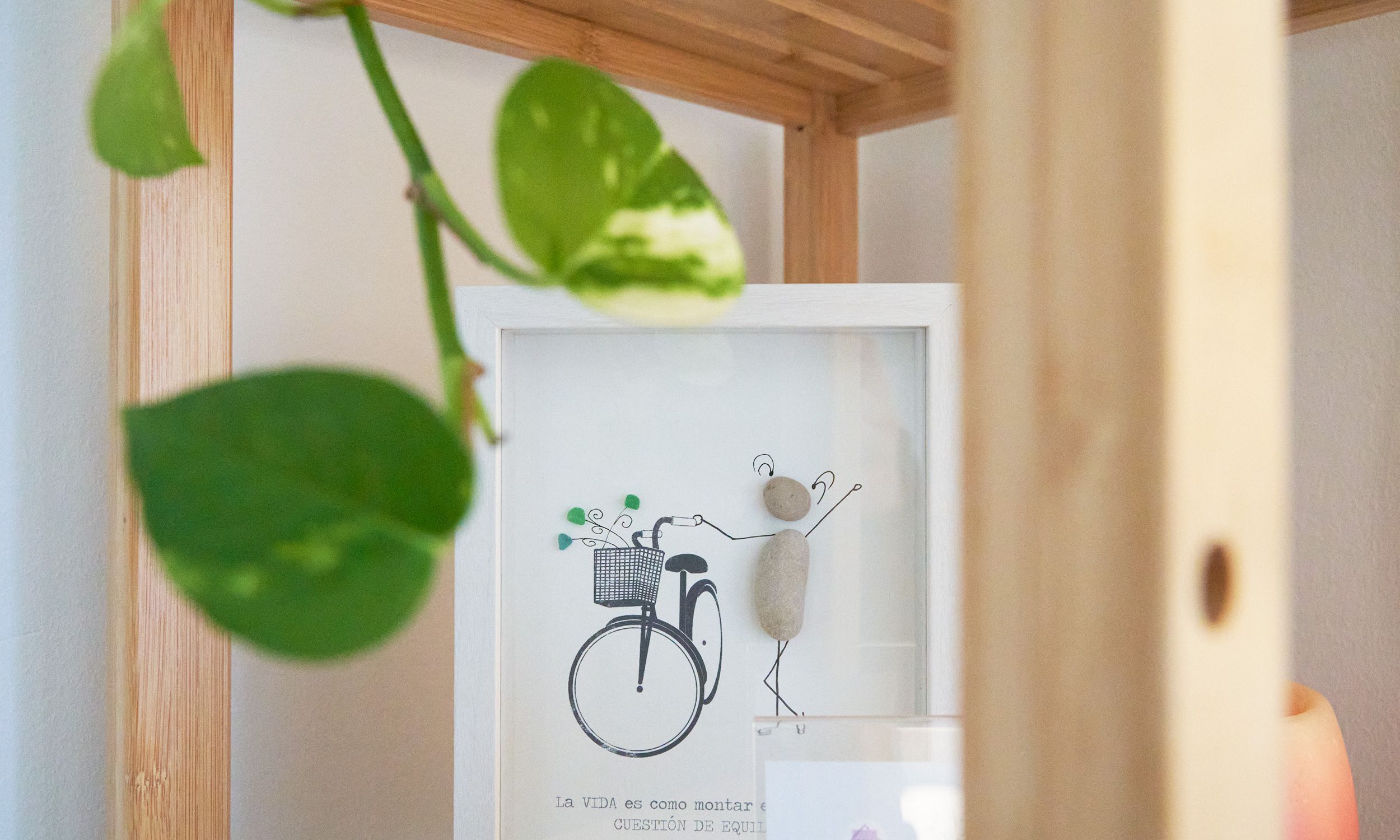 Sala despacho de zaragoza con cuadro y planta 