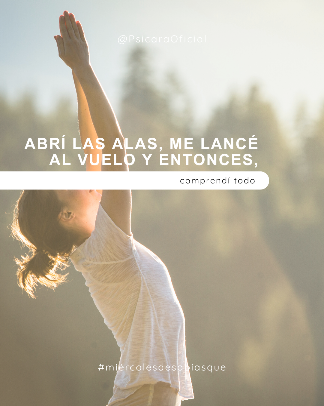 imagen de portada del blog