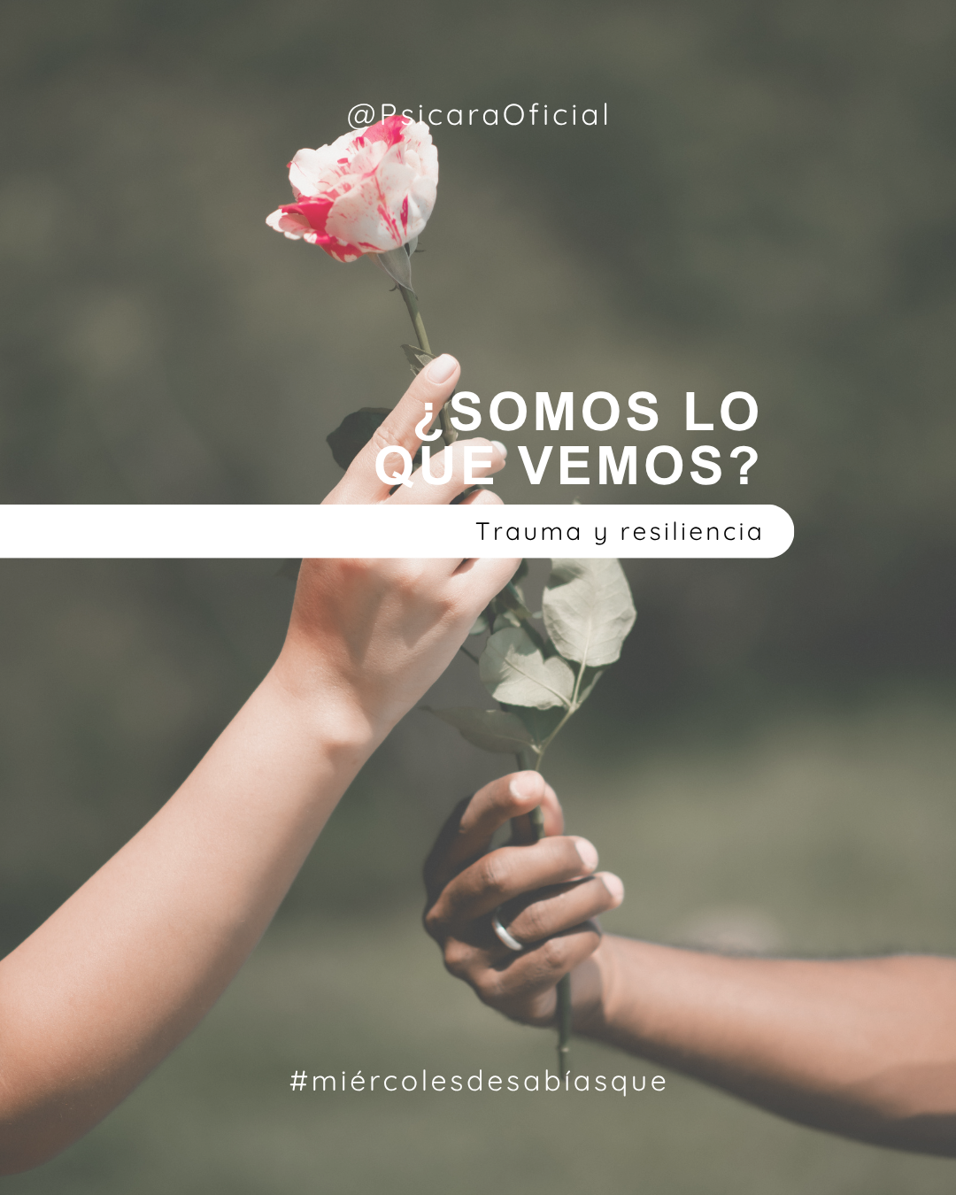 imagen de portada del blog