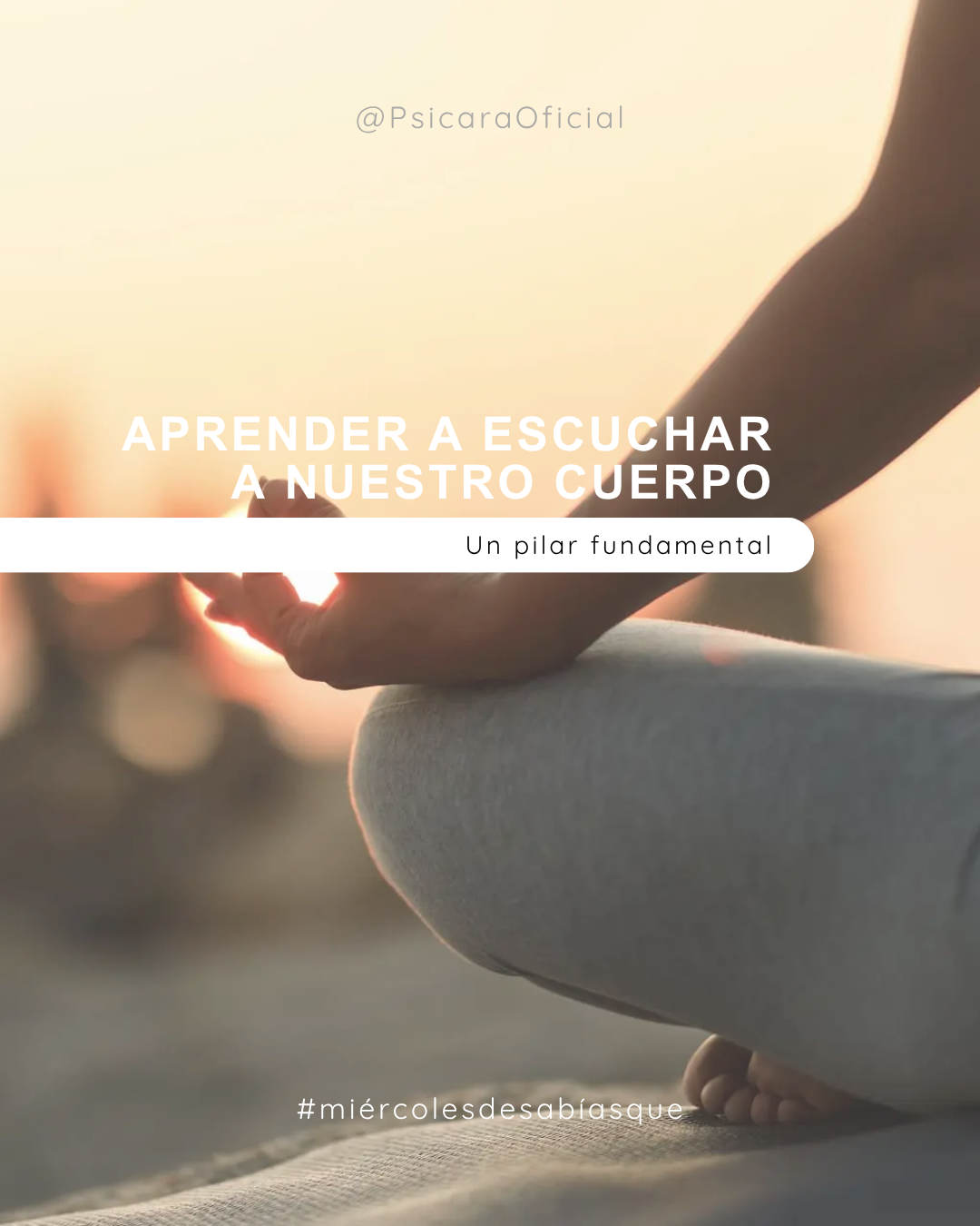 imagen de portada del blog 