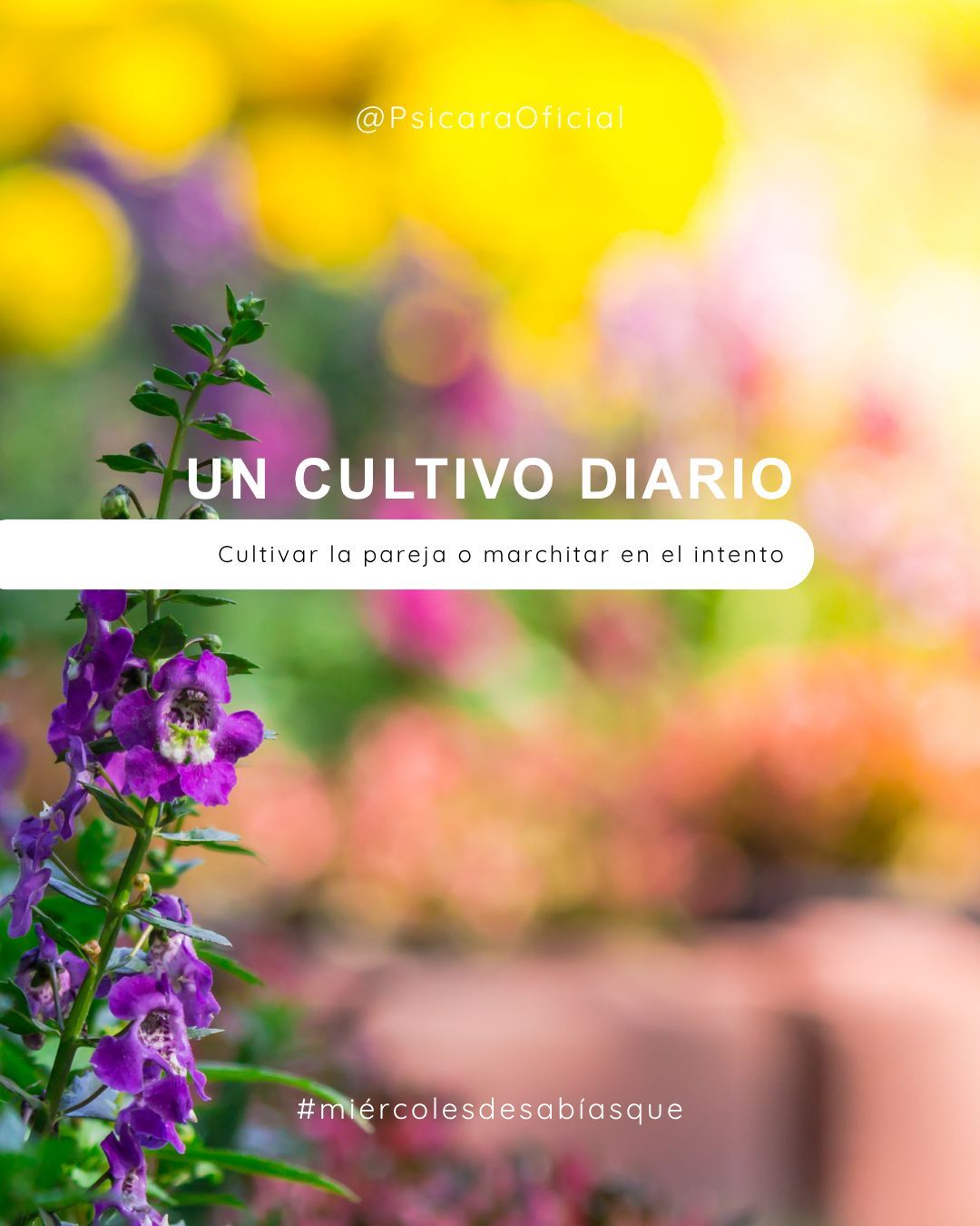 imagen de portada del blog