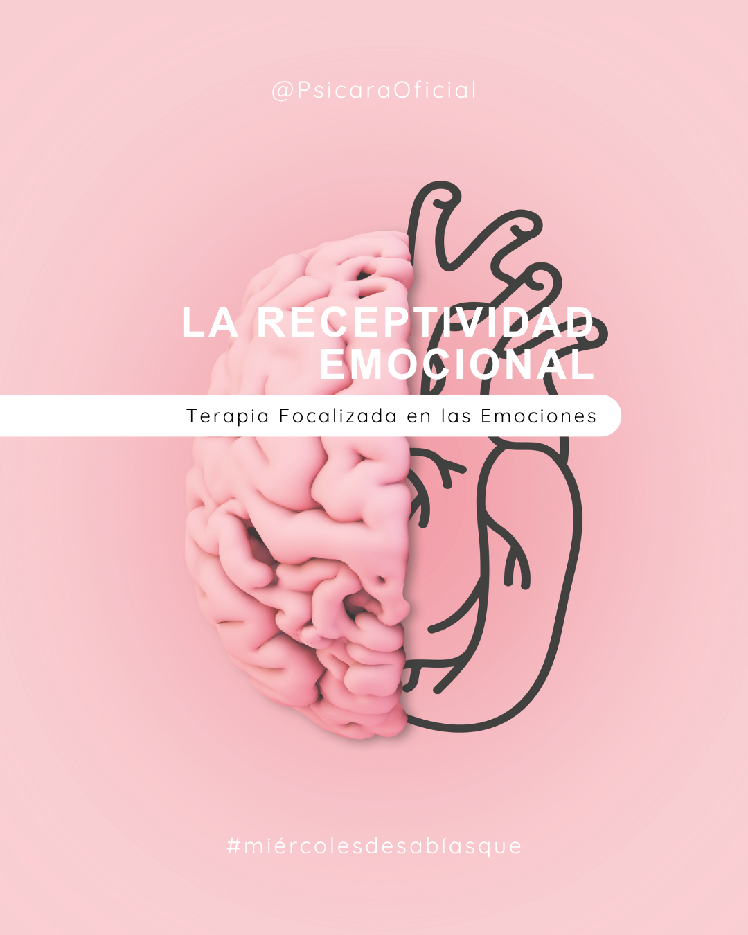 imagen de portada del blog