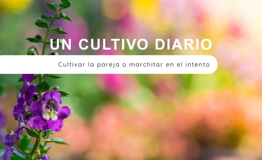 Imagen de portadadel blog 